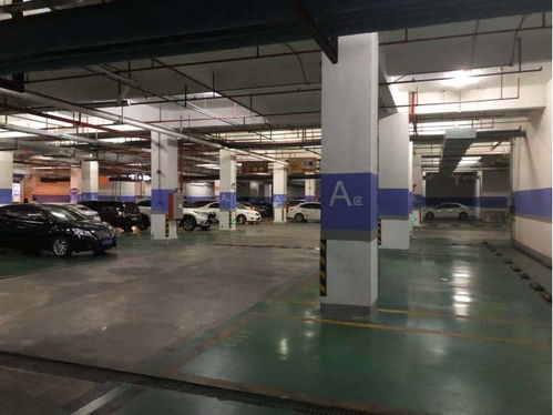 疫情下的大灣區小城 口罩成“通行證”，進超市需測體溫，日用商品價格穩定，家用電器銷售現分化